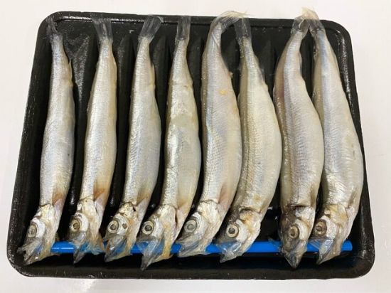 Picture of Premium Shishamo Fish