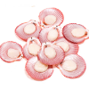 Picture of Half Shell Pink Scallop 50-60